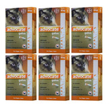 6 Advocate Gatos Até 4 Kg Antipulgas Envio Imediato Com Nf