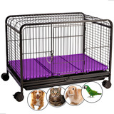 Gaiola Viveiro Transporte Pet Shop Confortavel Viagem Segura