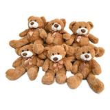 Lindo Set 6 Pzas Mayoreo Oso Peluche Juguete Felpa Bebé