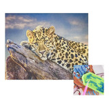 Pintura Diamante - Diamond Painting Kit 50 X 65 Cm Leopardo