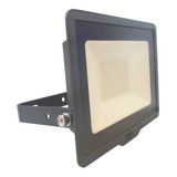 Proyector Reflector Led 30w By Signify Philips Luz Fria