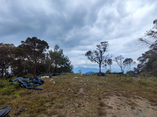 Lote En Caldas Sector La Miel