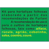 Kit Hidroponia 1000l E 1000 Sementes De Alface Peletizada