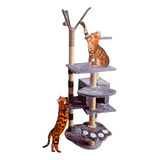 Rascador Para Gato Árbol Gimnasio Torre Todo En 1 Paws&pals