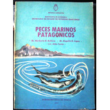 Pesca Mar Argentino Peces Marinos Patagonicos Pesquerias