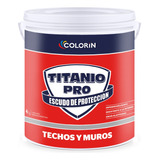 Membrana Liquida Colorin Titanio Pro X10kg Don Luis Mdp 