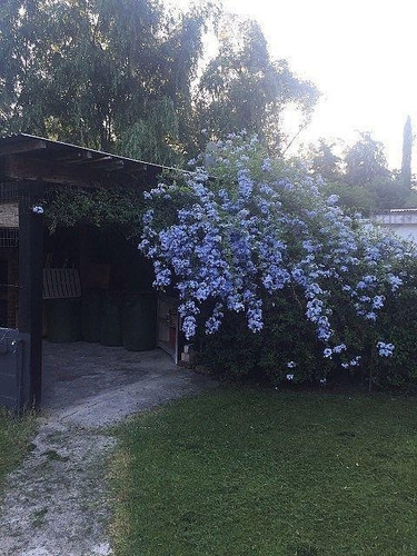 Venta, Casa En Santa Ana, Colonia - Imagen 4