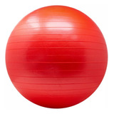 Balon Pelota Pilates Tamanaco Yoga Terapia 55cm Con Inflador