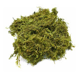 Musgo Natural Deshidratado Verde 250 Gramos