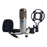 Micrófono Condenser Lane Bm 800 Estudio + Filtro Araña Cable