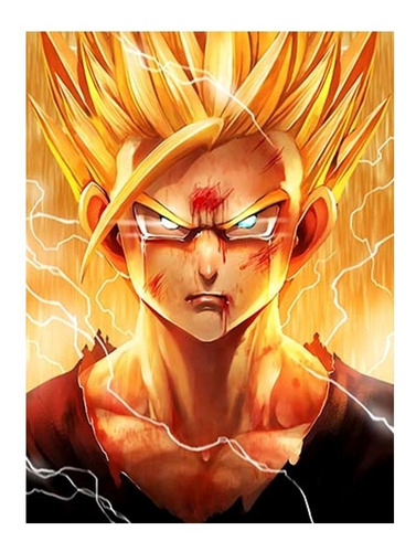 Cuadro Poster 3d Lenticular 30x40cm Pvc Dragon Ball Z /w189 