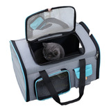 Bolso Transportador Gato Avion Mochila Mascotas Bolsos Gatos