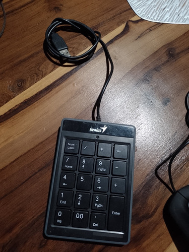  Teclado Numérico Genius Numpad I110 + Mouse Regalo