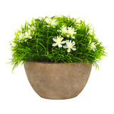 Planta Musgo Con Flores Artificial Macetero Corcho Deco 12cm