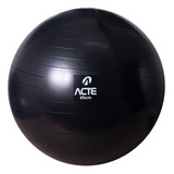 Bola Suíça Para Pilates Gym Ball 45cm T9-45p - Acte Sports