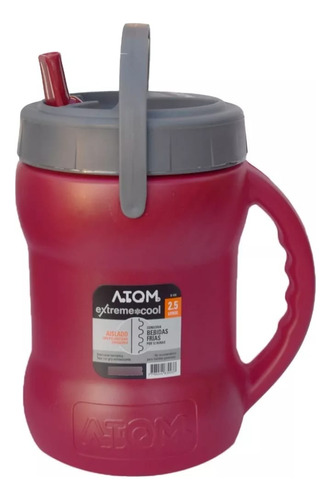 Bidon Termico Termo Sport Irrompible 2,5l Pico Familiar Atom