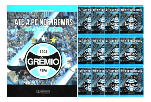Kit 1 Álbum Grêmio 120 Anos + 100 Figurinhas (20 Envelopes)
