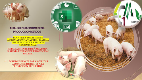 Analisis Financiero Excel Producción De Cerdos