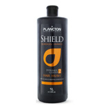 Escova Progressiva Shield Passo 2 Sem Formol Plancton 1litro