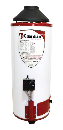 Boiler De Paso Gas Lp 7.8l 2.5 Servicios Soporte Pared Guard