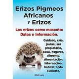 Erizos Pigmeos Africanos Y Erizos Los Erizos Como Mascota: D