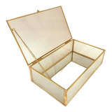 Organizador Caja De Vidrio Simple Large 24x19x6 Cm