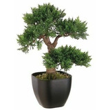 Artificial Cedar Bonsai Tree In Black Disposable Conta Wfx