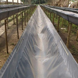 2 Calha Para Cultivo Semi Hidroponico 204x0,45m 200 Micra