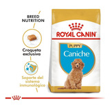 Royal Canin Caniche/poodle Junior 3kg Universal Pets