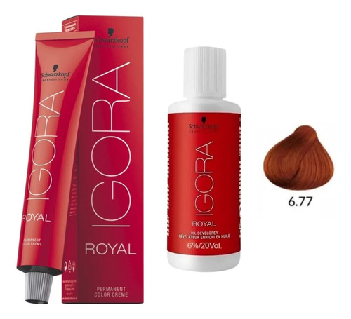 Kit Tintura Igora Royal 6.77 + 1 Oxidante Schwarzkopf 60ml