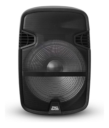 Parlante Pro Bass Street 15 Portátil Con Bluetooth  Negro