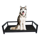 Cama Pet Cães Gatos Impermeável Industrial Almofada 65x50cm