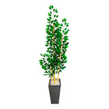 Planta Bambu Da Sorte 180cm Artificial Com Vaso Quadrado