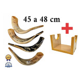 Shofar De Chifre De Carneiro De Tocar + Suporte - De Israel