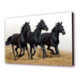 Cuadro 50x30cms Decorativo Caballo 6!!!+envío Gratis