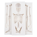 Molde De Silicona Para Halloween, Diseño De Esqueleto, Torta