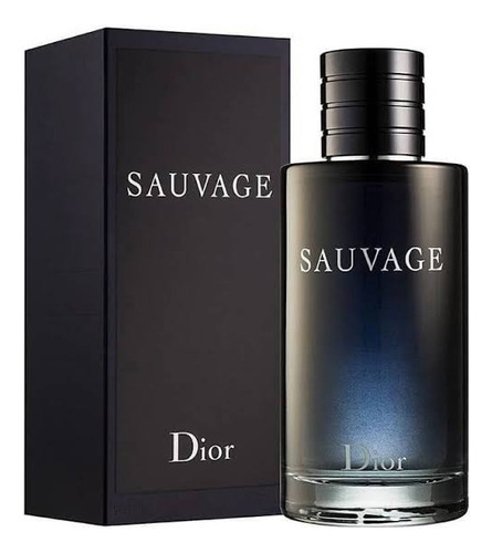 Perfume Dior Savage Original De 100 Ml 