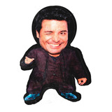 Cojin Almohada Chayanne Chiquito Peluche Con Relleno Color Personalizado