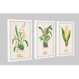 Kit 3 Quadros Decorativos Sala Quarto Floral Botânico Flores