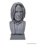 Busto Figura De Snape, Harry Potter Lista Para Pintar