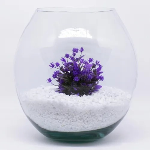 Aquário / Terrário, Beteira, Incolor , 15 X 17 Cm, Promoção