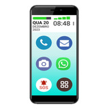 Smartphone Mamãefone 4g 64gb Grande 6.6 Longa Duração