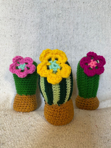 Cactus Cacto Suculenta Decorativo Crochet Dame Mi Lana 
