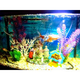 Acuario Importado Dm600