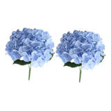 Ramo De Flores De Hortensias Con Tallo, Arreglos Azul