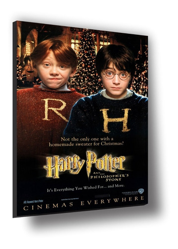Cuadro Canvas Bastidor Poster Harry Potter Piedra Filosofal