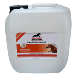  B-horse Shampoo Para Caballo Capa Diluida & Alazanes 4l