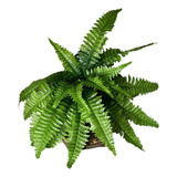 10 Samambaia Artificial 53 Cm Plantas/parede Folhagem