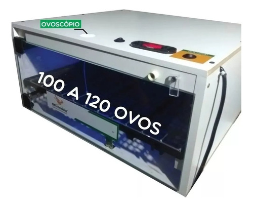 Chocadeira 100 Ovos De Galinha Automática E Ovoscópio 