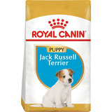 Royal Canin Jack Russell Puppy - 3 Kg